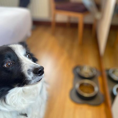 ホテル オリア トロサ エクステリア 写真